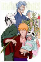 Bleach 13